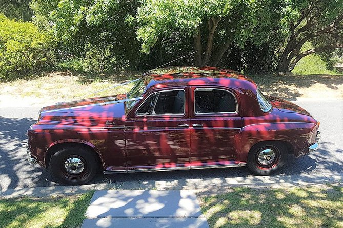Cape Wine Tasting in a Vintage Car - Good To Know
