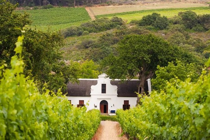 Cape Winelands and Wine Tasting Full Day Tour - Wine Estates in Stellenbosch and Franschhoek