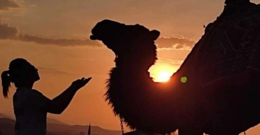 Cappadocia: Camel Riding (Sunrise Or Sunset Transfer)