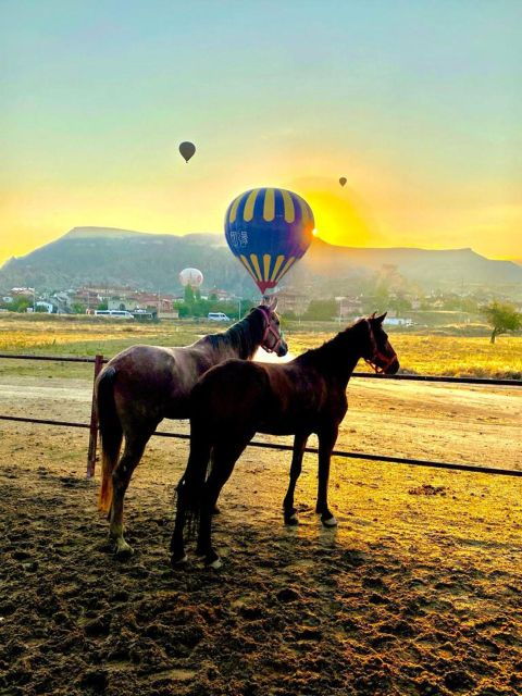 Cappadocia : Horse Riding Tour (1 - 2 Hours) - Good To Know