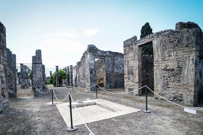 Capri-Pompei Combined Tour - Good To Know