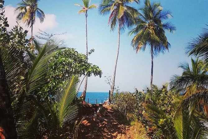 Caribbean Coast Biodiversity Adventure: Guided Hike - Good To Know