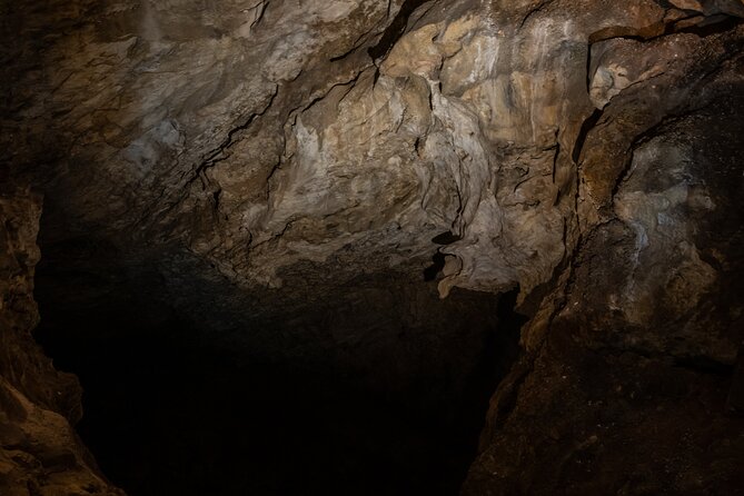 Best Guided Tours In New Mexico