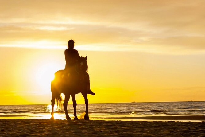 Cartagena: Horseback Riding Along The Beach (Dont Overpay) - Good To Know