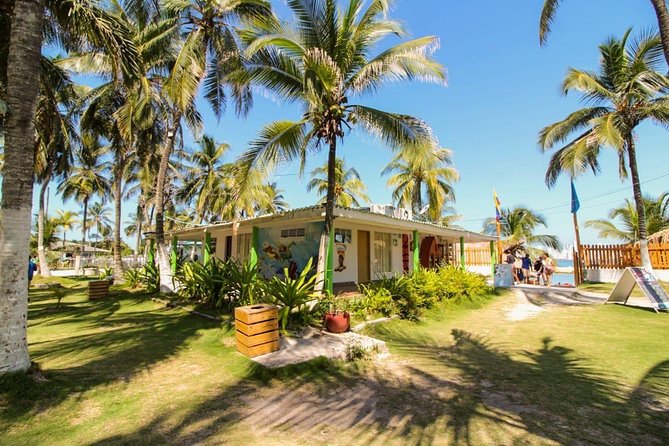 Cartagena Private Beach Escape on Isla Tierra Bomba With Lunch (Feb ) - Good To Know