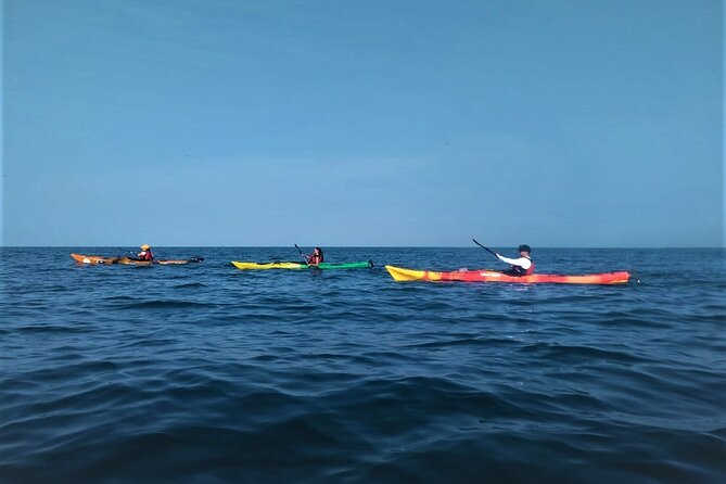 Cartagena Small-Group Half-Day Kayak Tour (Feb ) - Good To Know