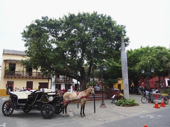 Cartagena Street Food Small-Group Walking Tour Led by Local (Feb ) - Good To Know