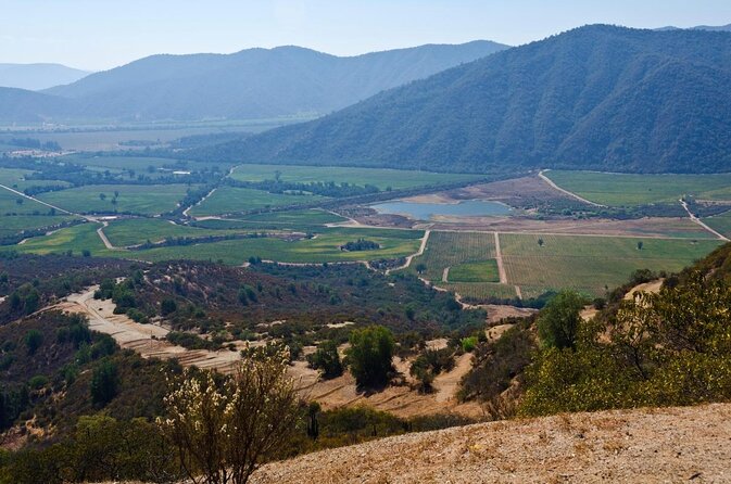 Casablanca Valley & Casa Del Bosque - 3 Vineyards - Full Day - Good To Know