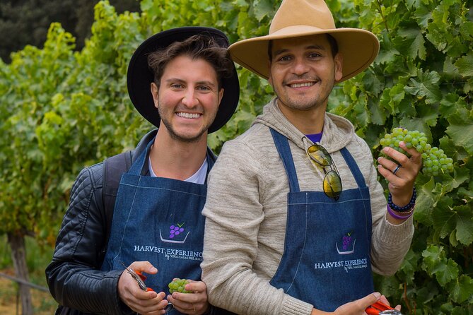 Casablanca Wine Valley LGBT - Good To Know