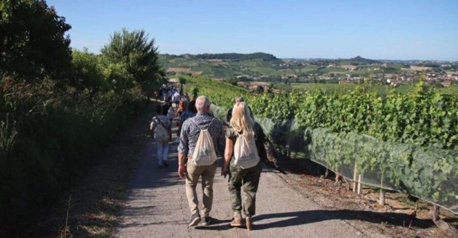 Castagnole Delle Lanze: Saffron Walking Tour W/ Wine & Food