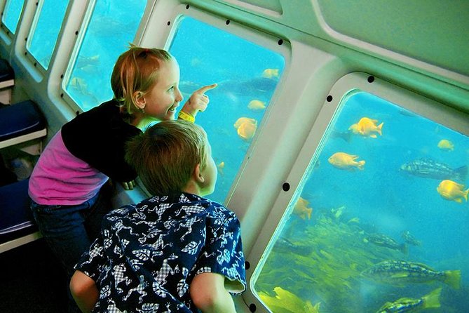 Catalina Island Day Trip From LAX Area Hotels With Undersea Adventure - Good To Know