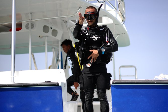 Catalina Island Scuba Diving - Amazing Full Day Tour! - Tour Highlights