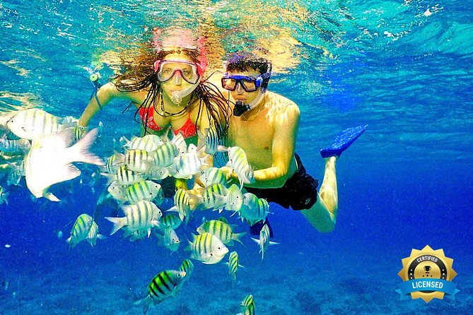 Catalina Island & Snorkeling Tour - Good To Know