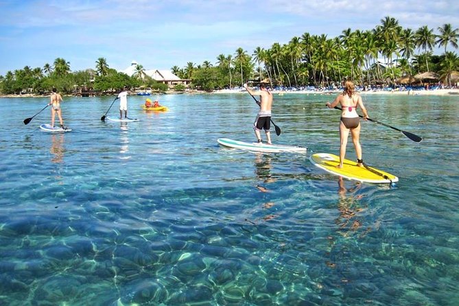 Catamaran Catalina Island Day Trip With Lunch - Good To Know