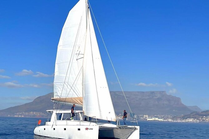 Catamaran Cruise in Cape Town - Good To Know