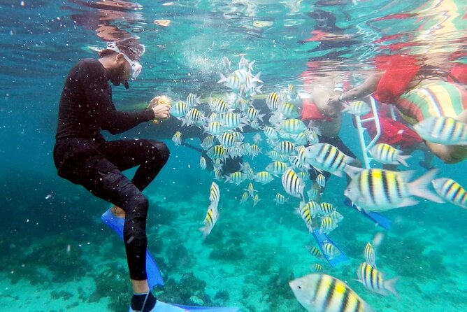 Catamaran Cruise Negril Beach and Ricks Cafe - Montego Bay Resorts ADULTS ONLY - Good To Know