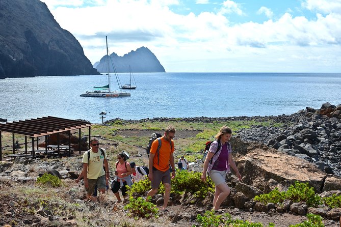 Catamaran Day Cruise to Desertas Islands From Funchal