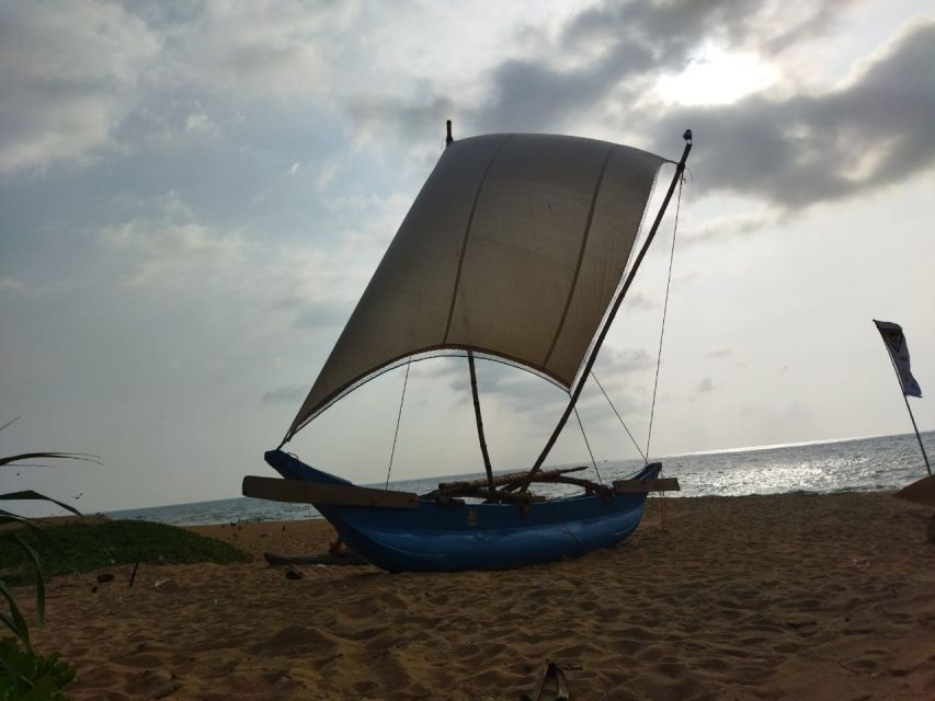 Catamaran Sunset Sailing in Mount Lavinia