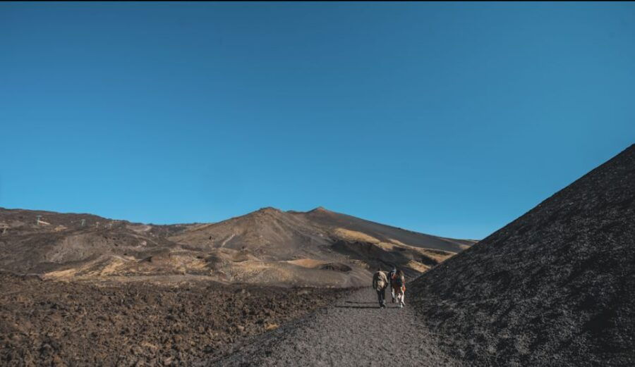 Catania: Etna Morning Tour With Tastings and Pickup - Good To Know