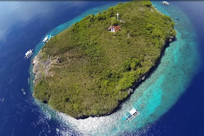 Cebu Moalboal Beach, Sardine Run, Sea Turtle Viewing Canyoneering Tour