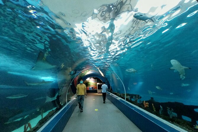 Cebu Ocean Park - Marine Life and Exhibits