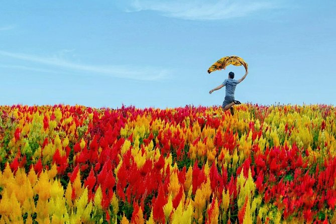 Cebu: Private Twin City Tour Temple of Leah Sirao Flower Farm