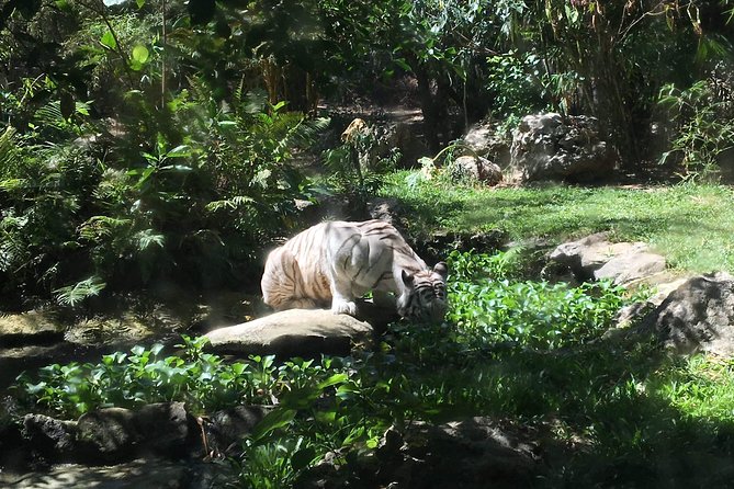 Cebu Safari and Adventure Park