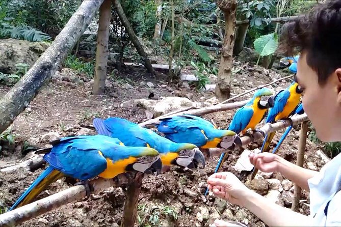 Cebu Safari Day Tour