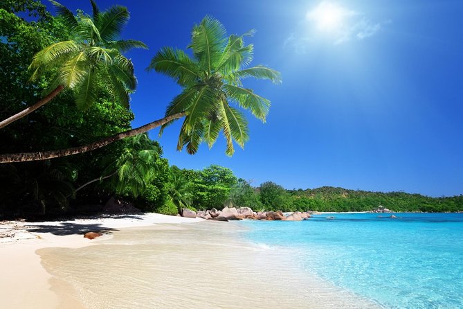 Cebu to Bohol: 2D and 1N With Bohol Tour and Firefly Tour