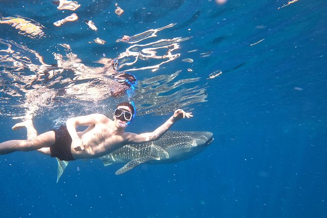 Cebu Whalesharks, Sumilon Whitesand & Kawasan Waterfalls