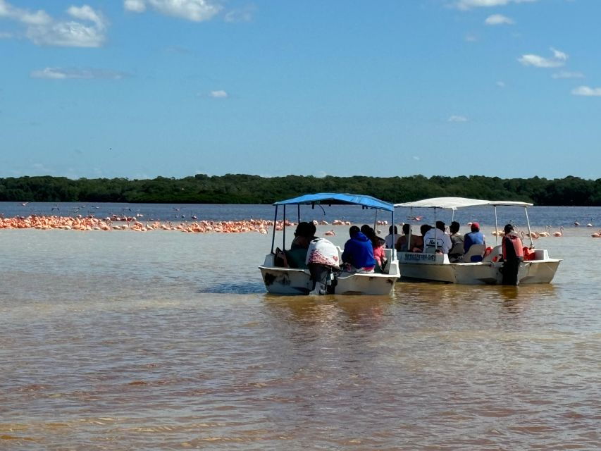 Celestún Tour Mangroves, Pink Flamingos, and Beach - Good To Know