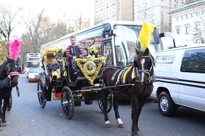 Central Park Private Horse Carriage Tour in NYC - Good To Know