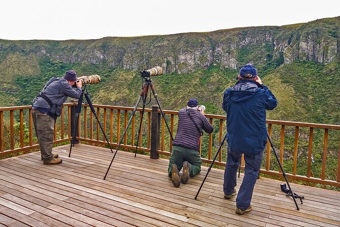 Chakana Reserve: Unique Andean Wildlife, Condors, Ecuadorian Hillstar & Bears - Chakana Reserve Overview