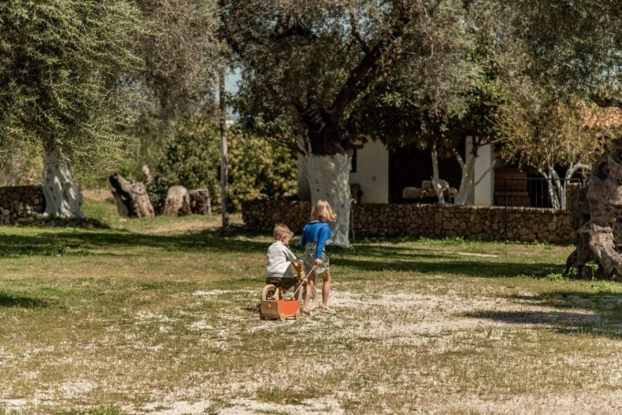 Chania Luxury Jeep Safaris: Wine & Olive Oil Tasting Secrets - Good To Know