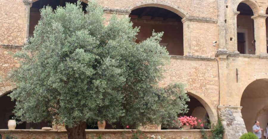 Chania Olive Oil Tour: Olive Oil Tasting & Bio Fruits Tour