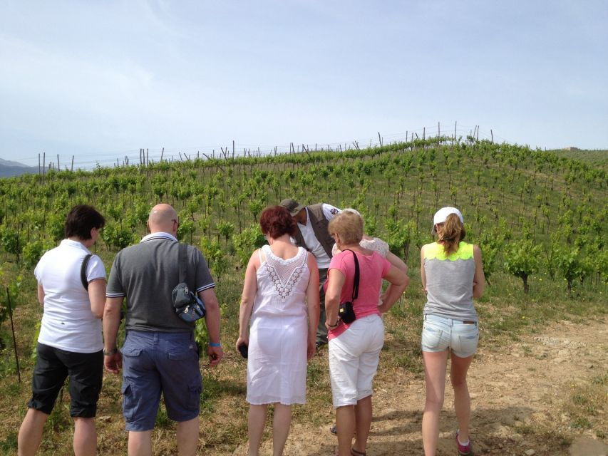 Chania Premium Sunset Safari Tour - Good To Know
