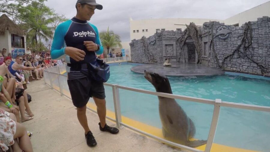 Chankanaab Park Cozumel Day Pass With Lunch and Open Bar - Booking Details