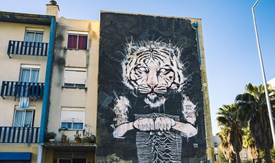 Chaparrus Street Art Tuk Tuk Tour 3 H