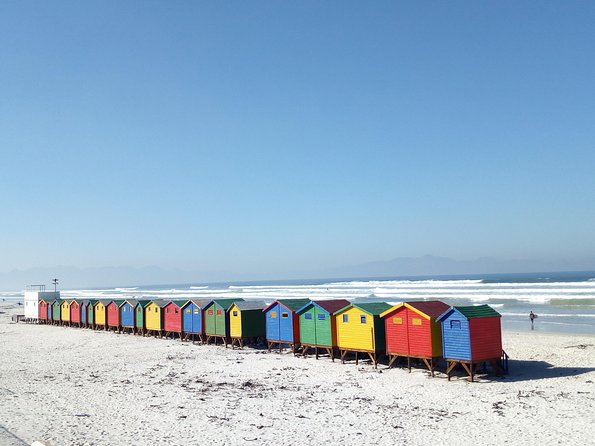 Chapmans Peak Penguins Cape Point - Good To Know