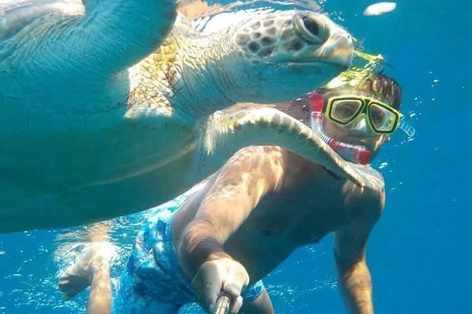 Charming Giftun Island in Hurghada