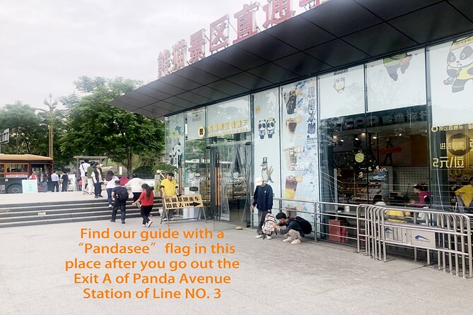 Chengdu Panda Base Half Day Tour
