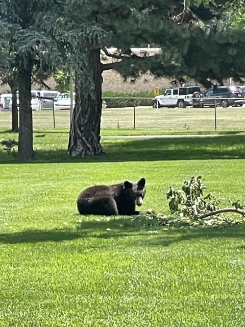 Cheyenne Cañon Art and Nature Segway Tour