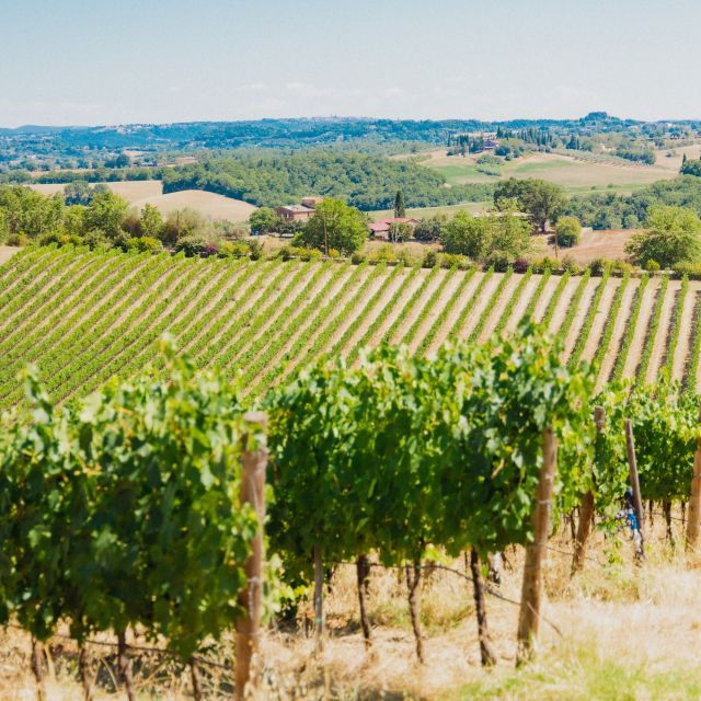 Chianciano Terme: Private Guided Winery Tour & Wine Tasting - Good To Know