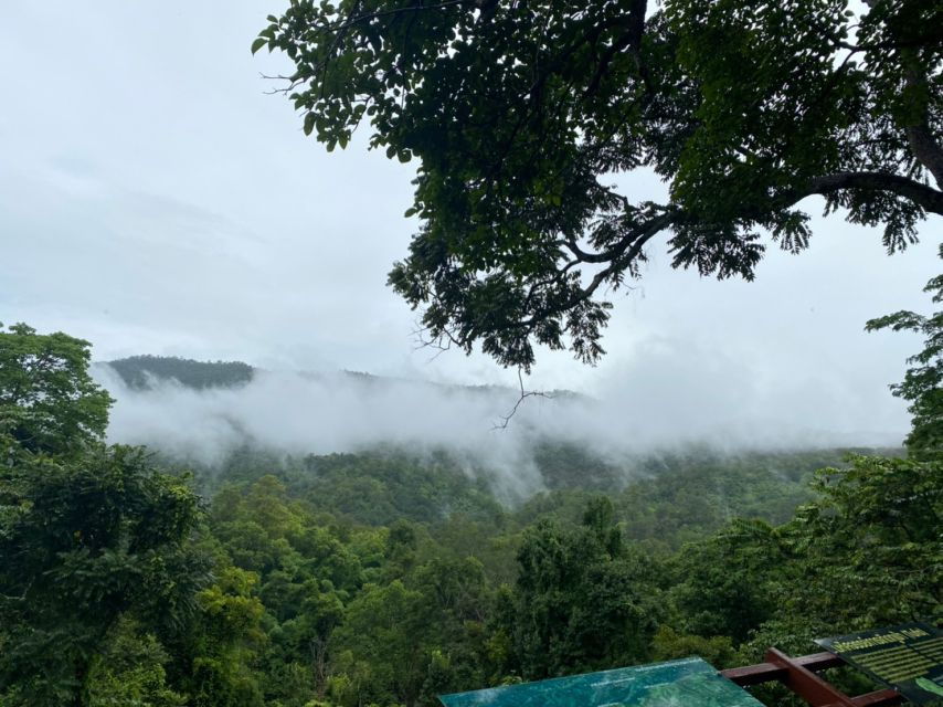 Chiang Mai: Bua Thong Sticky Waterfall Private Half-Day Tour - Activity Details