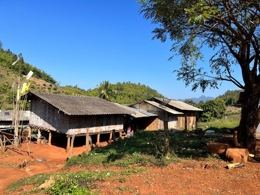 Chiang Mai: Chiang Dao Cave, Sticky Waterfall With Longneck