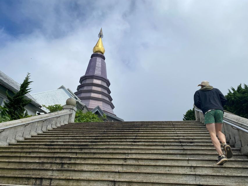 Chiang Mai :Doi Inthanon Explore &Ethical Elephant Sanctuary
