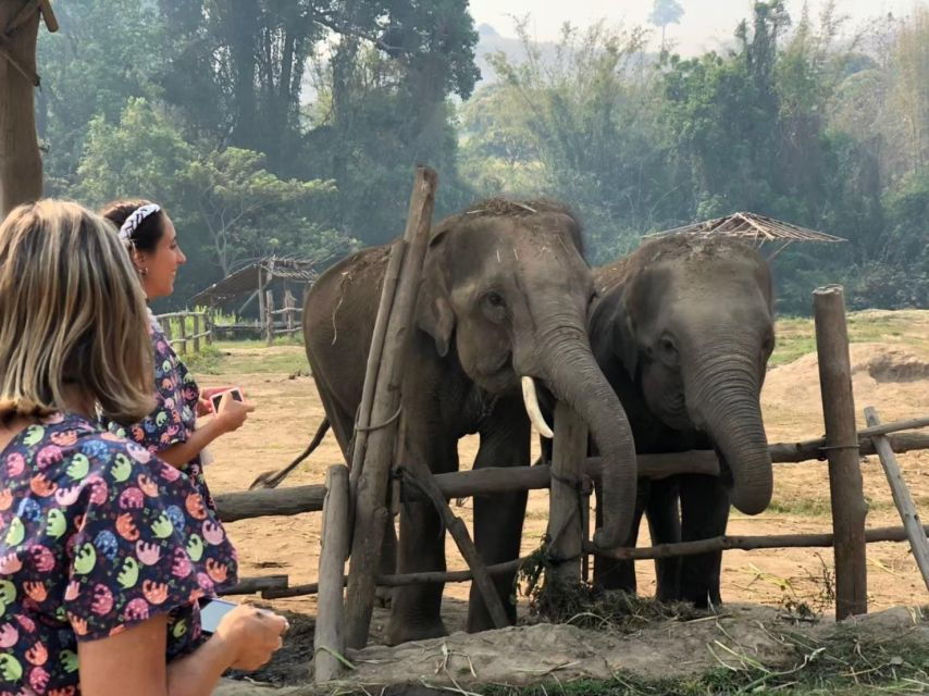 Chiang Mai Elephant Home One Day Experience
