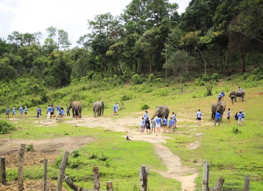 Chiang Mai Elephant Recovery Center, Doi Inthanon and Hiking