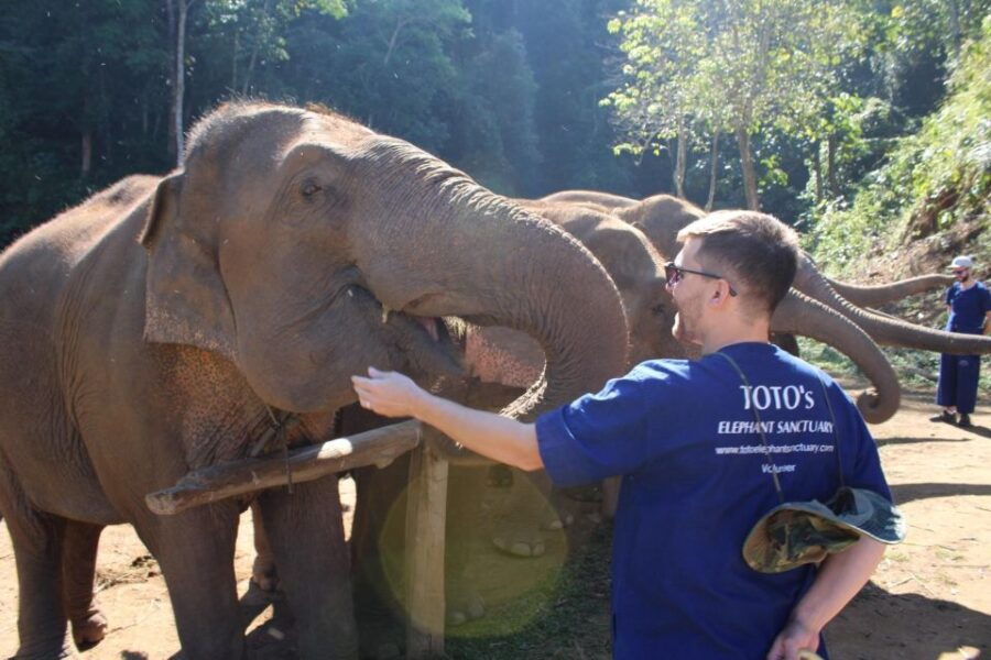 Chiang Mai: Elephants, Waterfall, and White Water Rafting