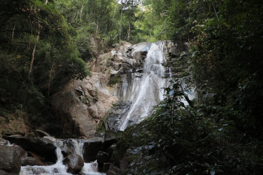 Chiang Mai: Explore Forests to Waterfalls and Water Rafting